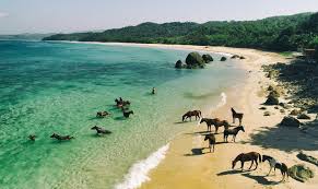 Wisata Bahari Pulau Sumba 2025: Surga Tersembunyi di Timur Indonesia